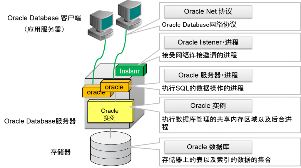 Oracle Database 的网络连接